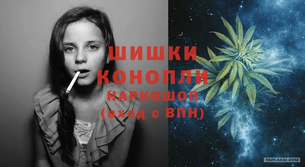 дживик Заводоуковск