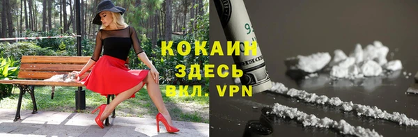 дживик Заводоуковск
