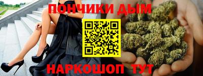мдпв Бийск