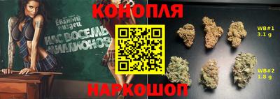 мдпв Бийск