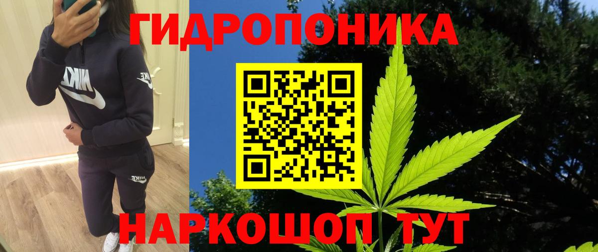 Бошки Шишки Ganja  Марихуана Bruce Banner  Каннабис VHQ  Вход с VPN  Ивантеевка 